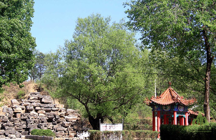 园内风景